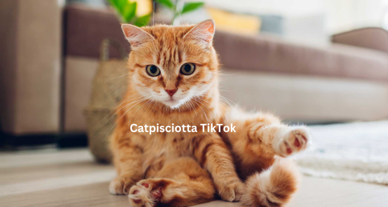 Catpisciotta TikTok