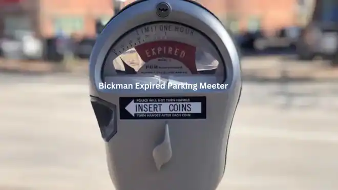 Bickman Expired Parking Meeter